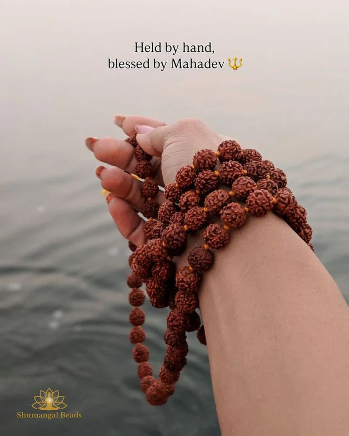 Original Rudraksha Bracelet