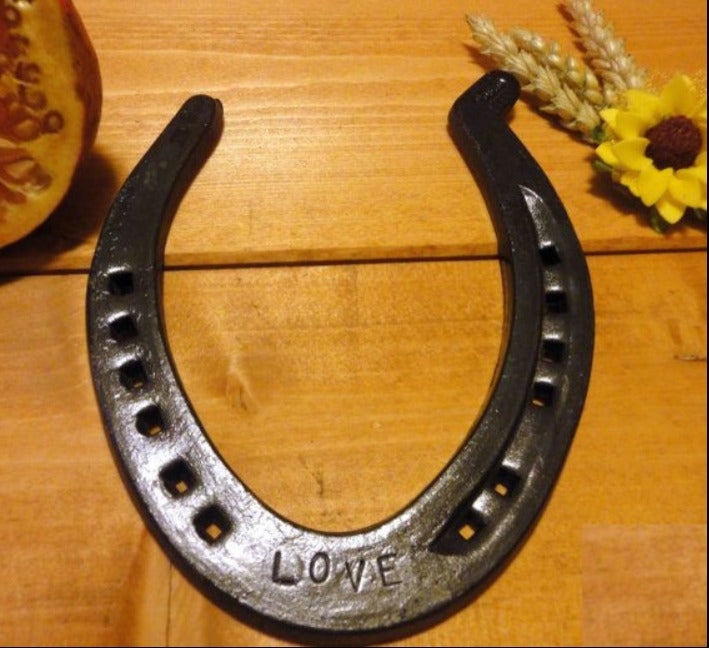 Lucky Horseshoe for Home